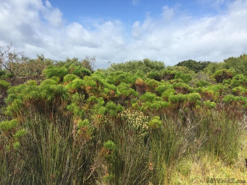 Bettys Bay Vacant Land, Bettys Bay - 2