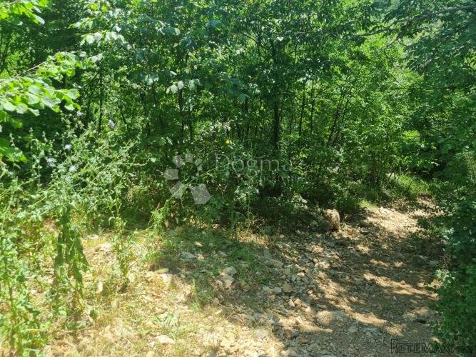 Građevinsko zemljište Drenova-izvrsna prilika za investitore - 3