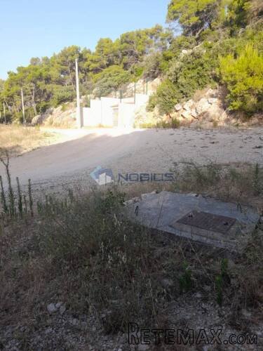 Korčula, Blato, 60.000 m2, južna strana, mogućnost gradnje - 3
