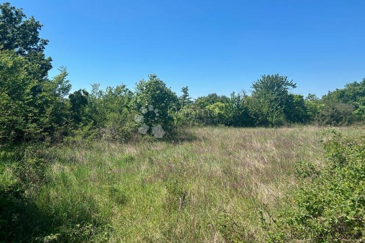 SVETVINČENAT – lijepa, ravna parcela s dobrim pristupom - 3