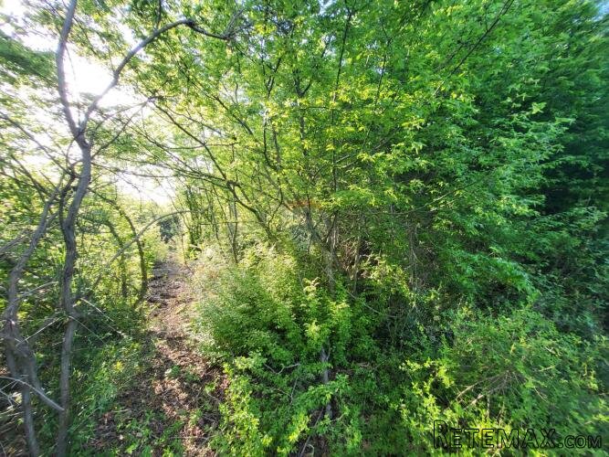 Istra, Bale, poljoprivredno zemljište