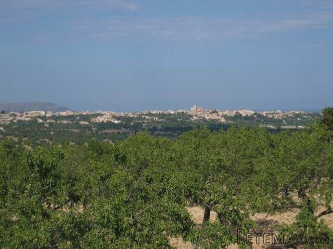 Rustic plot of 37.700m2 in a peaceful area between Moscari.. - 4