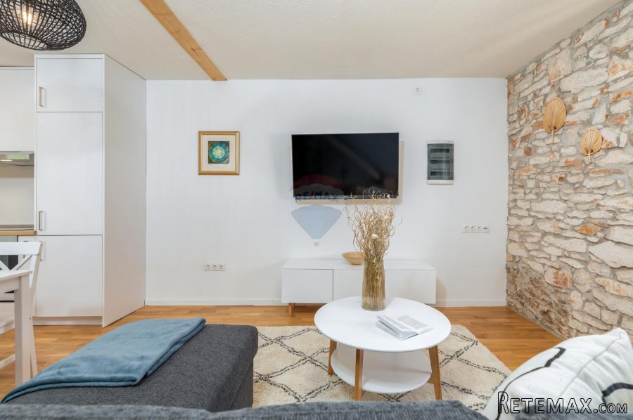 Istra,Šišan-renovirana kamena istarska kuća - 5