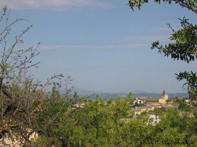 Rustic plot of 37.700m2 in a peaceful area between Moscari.. - 5