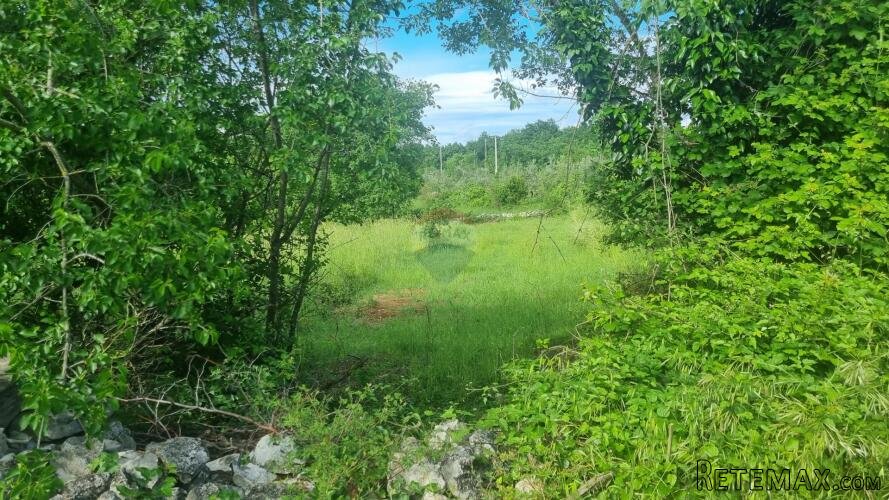 Istra, Krnica okolica – investicijsko zemljište s asfaltiran