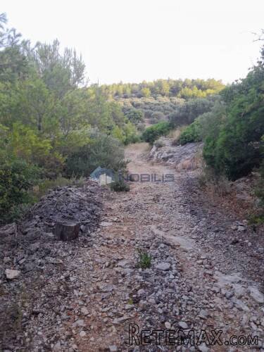 Korčula, Blato, 60.000 m2, južna strana, mogućnost gradnje - 6