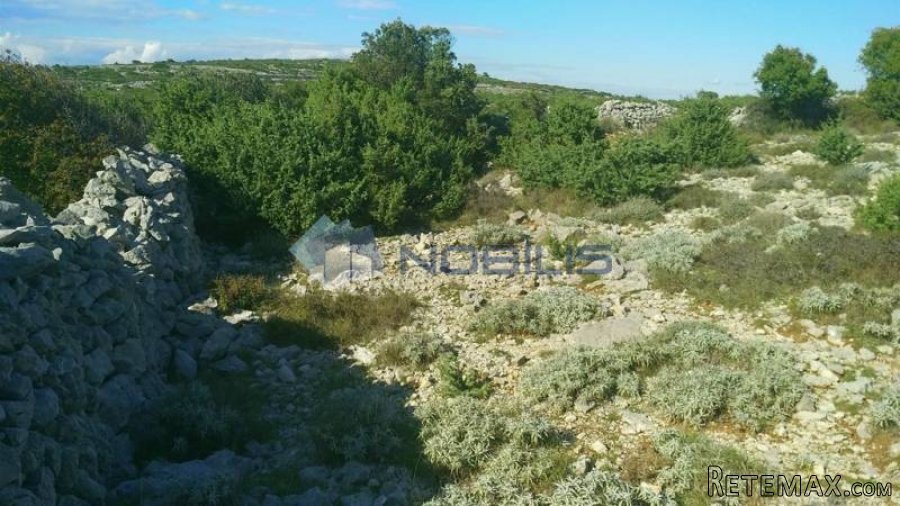 Cres, Grmov zemljište 9750 m2 - 7