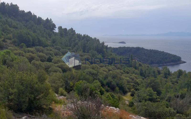 Korčula, Blato, 60.000 m2, južna strana, mogućnost gradnje - 7
