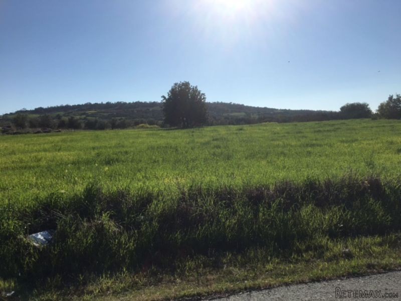 Bargain piece of land for sale in.. - 2