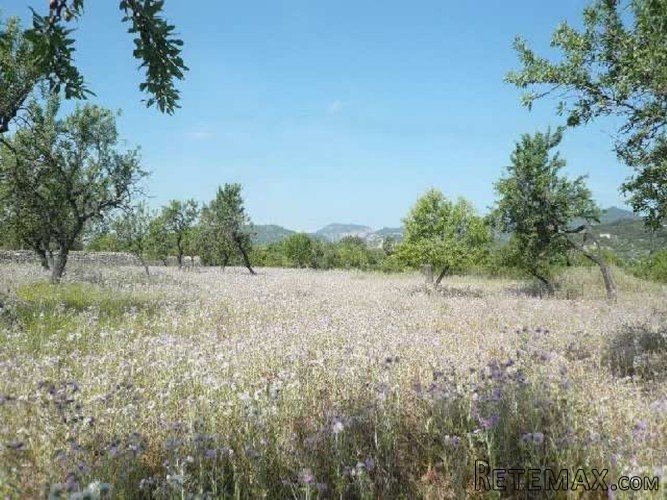 Rustic building plot of 14.314m2 in the county of Selva.. - 2