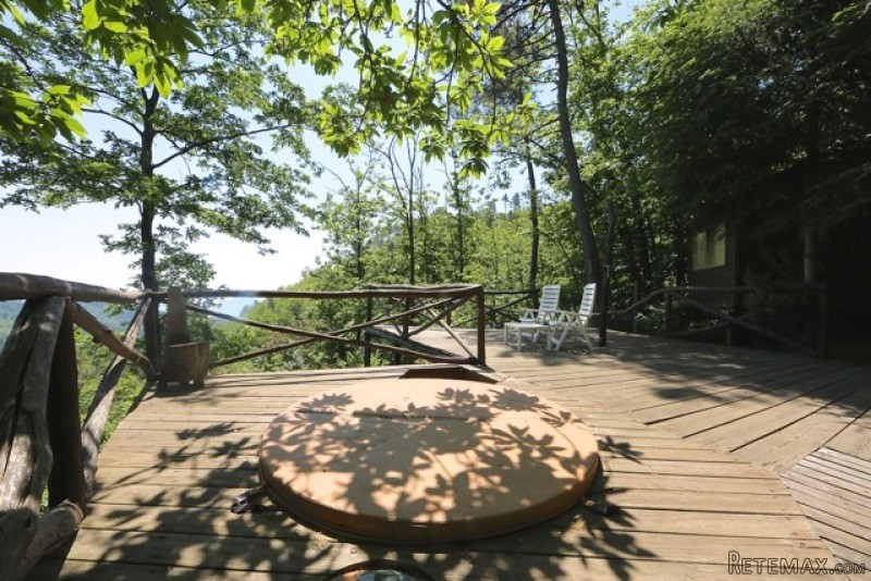 “steps In The Forest” - A Vibing Place … - 2