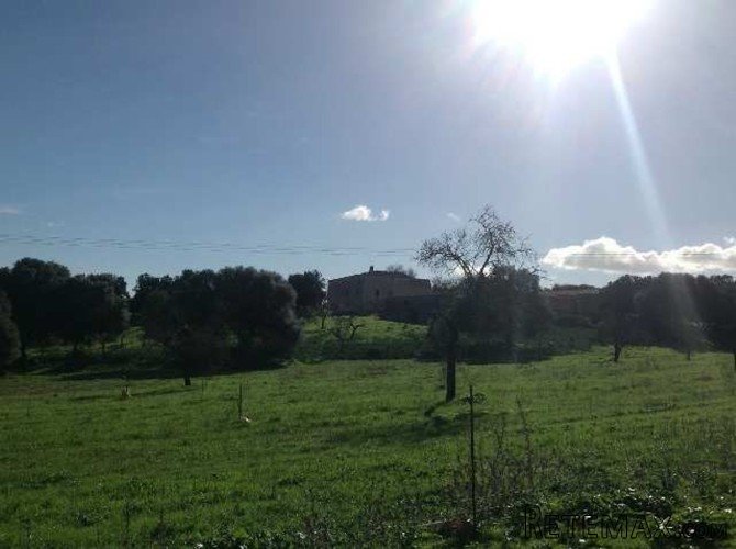 One of the most ancient possessions of Mallorca is located.. - 3