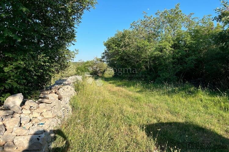 ROVINJ – perfektan maslinik 5 km od Rovinja - 3