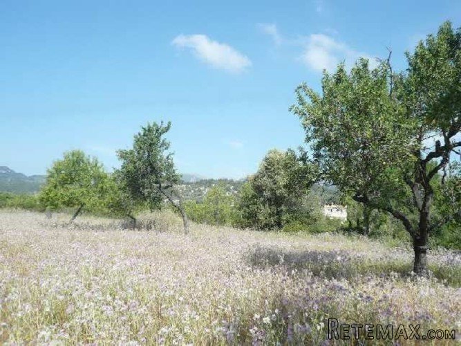 Rustic building plot of 14.314m2 in the county of Selva.. - 3
