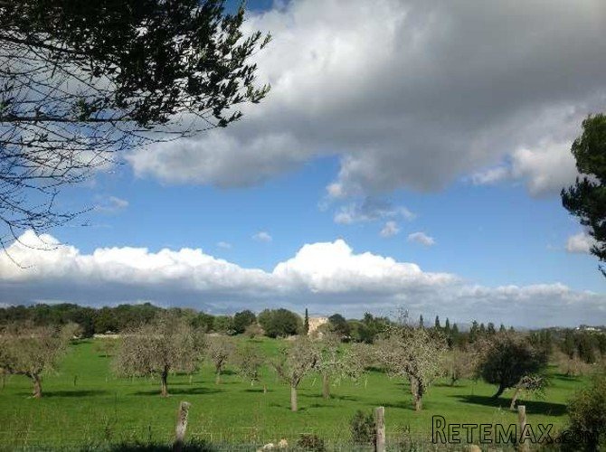 One of the most ancient possessions of Mallorca is located.. - 5