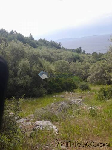 Korčula, Blato, 80.567 m2, južna strana, mogućnost gradnje - 9