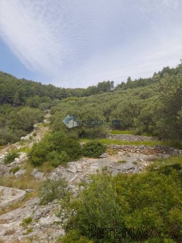 Korčula, Blato, 80.567 m2, južna strana, mogućnost gradnje - 10