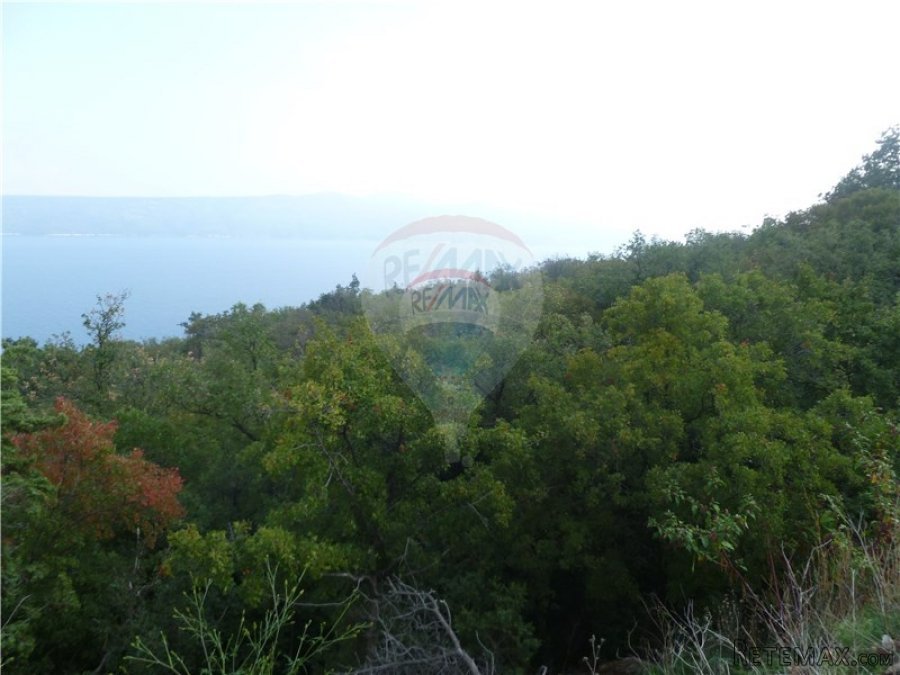 BRSEČ - 37.000 m2 NEGRAĐEVINSKOG ZEMLJIŠTA - 2