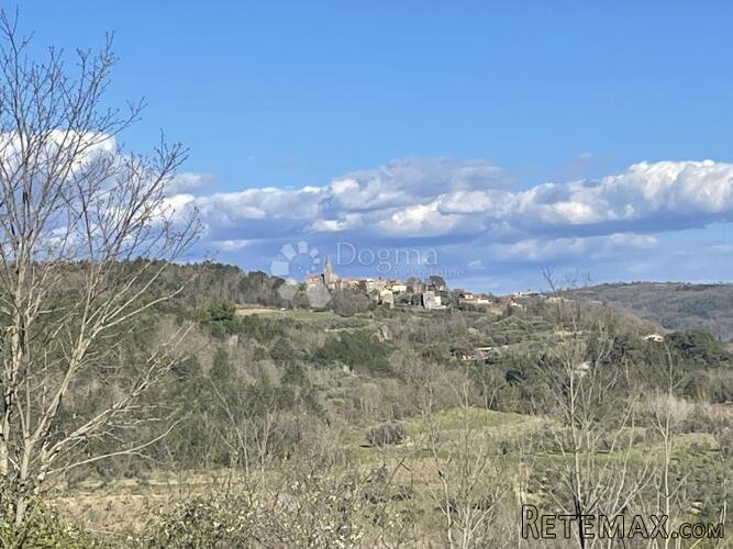 ZEMLJIŠTE SA POGLEDOM GROŽNJAN, MORE I MASLINIKE - 3