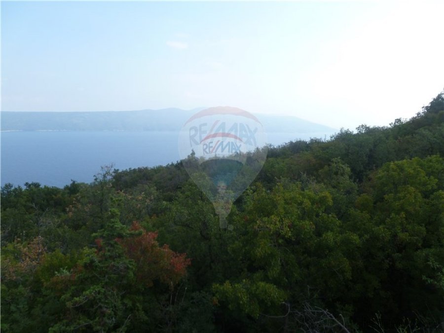 BRSEČ - 37.000 m2 NEGRAĐEVINSKOG ZEMLJIŠTA - 4