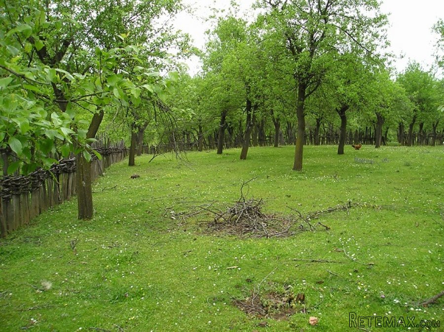Porodicno imanje zaseok Robaje-Mionica - 7
