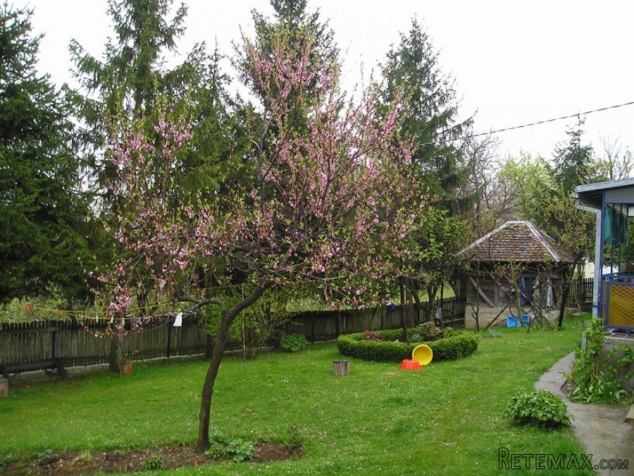 Porodicno imanje zaseok Robaje-Mionica - 9