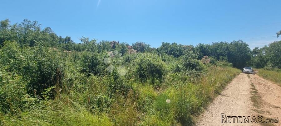 Poljoprivredna parcela sa šumom u Taru - 2