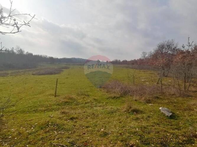 Poreč, Dračevac - Negrađevinsko zemljište 17415 m2 - 2