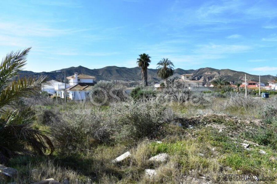 Large country style property, with 7051m2 of urbanisable.. - 5