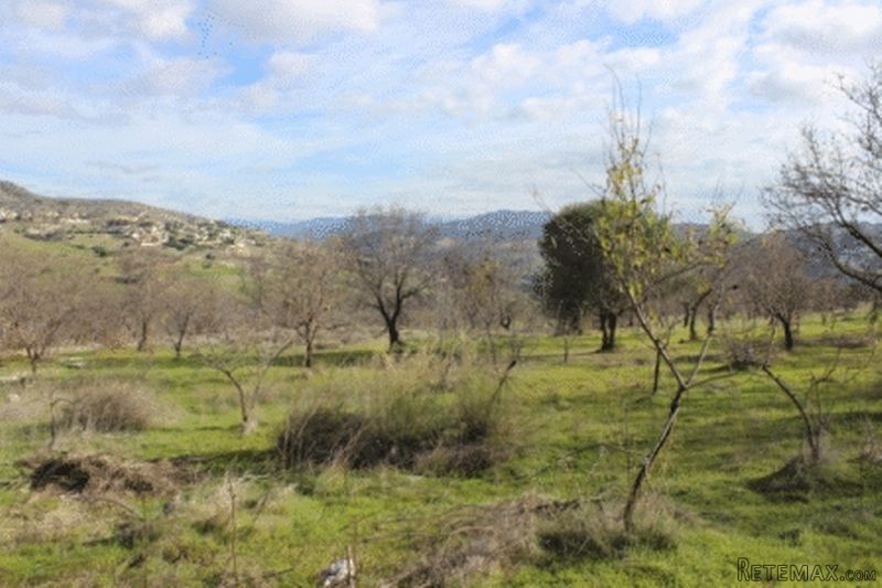 - Land - Paphos - For Sale