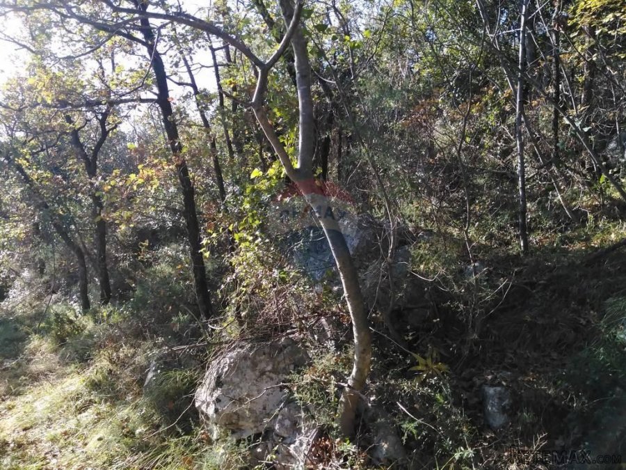 MOŠĆENIČKA DRAGA - 6.670 m2 NEGRAĐEVINSKOG TERENA (ŠUMA) - 2