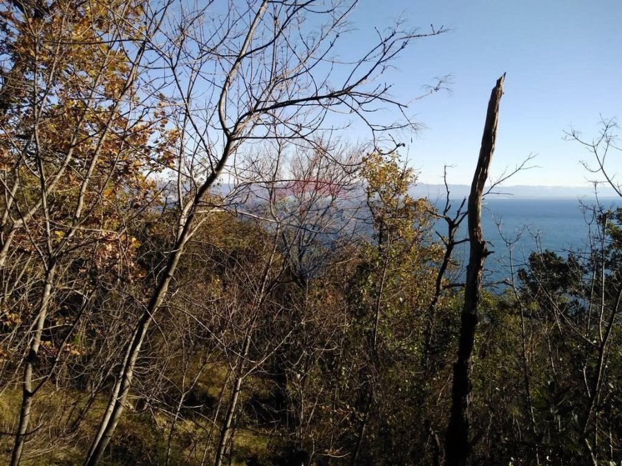 MOŠĆENIČKA DRAGA - 6.670 m2 NEGRAĐEVINSKOG TERENA (ŠUMA) - 4