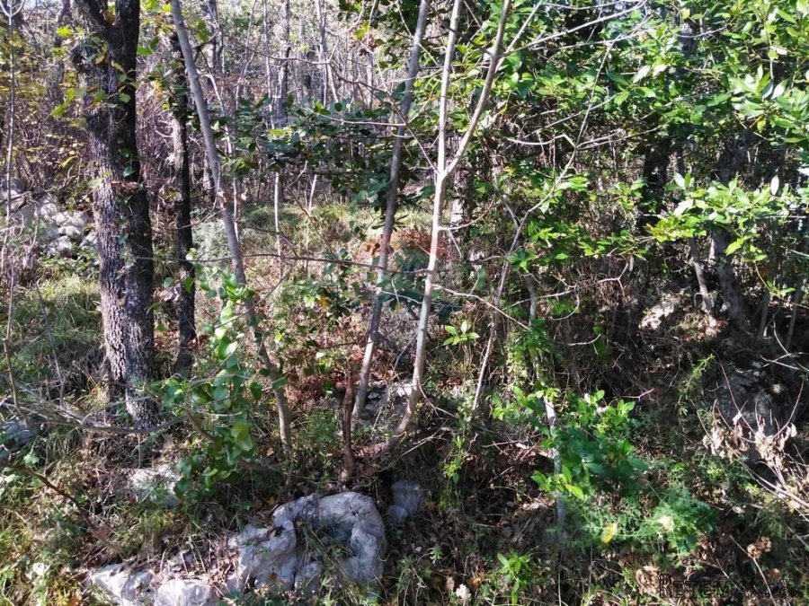 MOŠĆENIČKA DRAGA - 6.670 m2 NEGRAĐEVINSKOG TERENA (ŠUMA) - 5