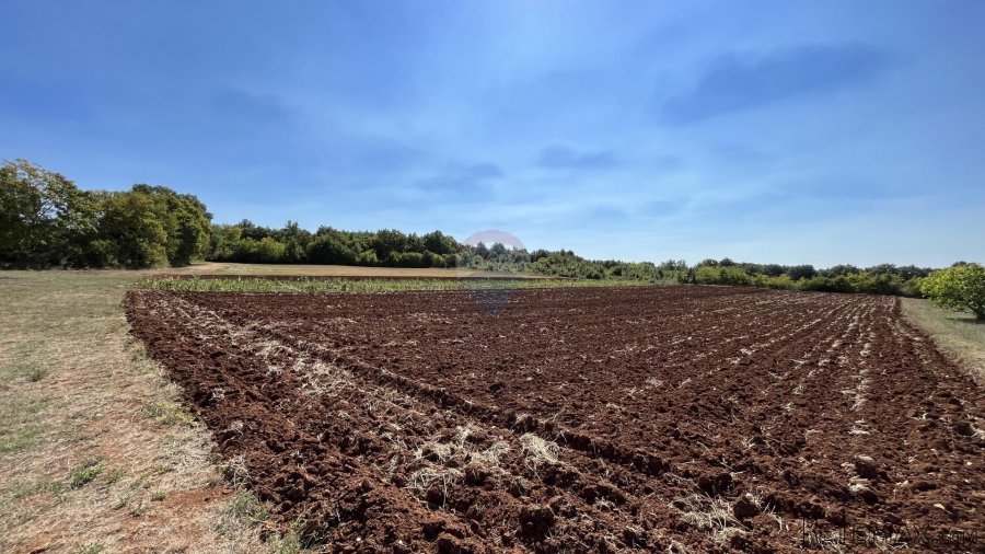 Sveti Lovreč - okolica, građevinsko i poljoprivredno zemljiš - 5