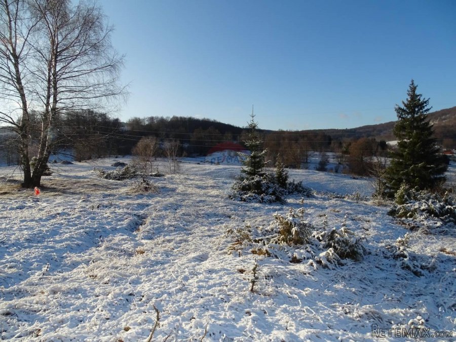 Velik i lijep teren-Stari Laz - 2