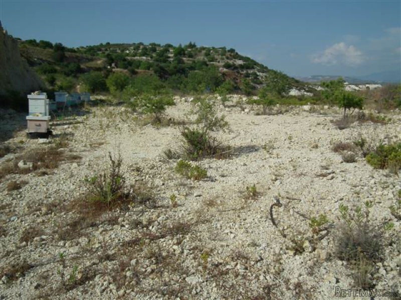 Land - Paphos - For Sale