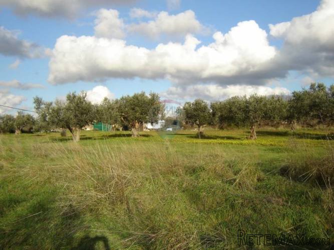Istra, okolica Vodnjana, velika parcela sa gradjevinskim... - 4