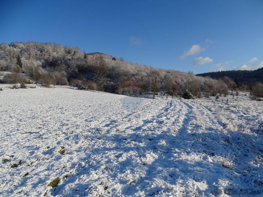 Velik i lijep teren-Stari Laz - 10
