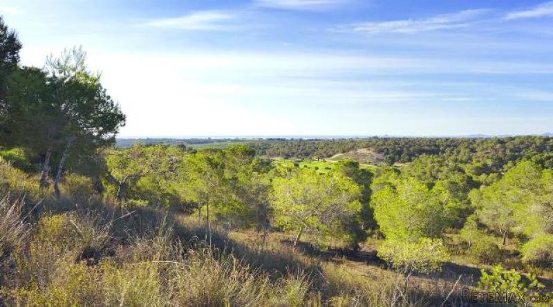 Land For Sale In Campoamor Spsnb0997