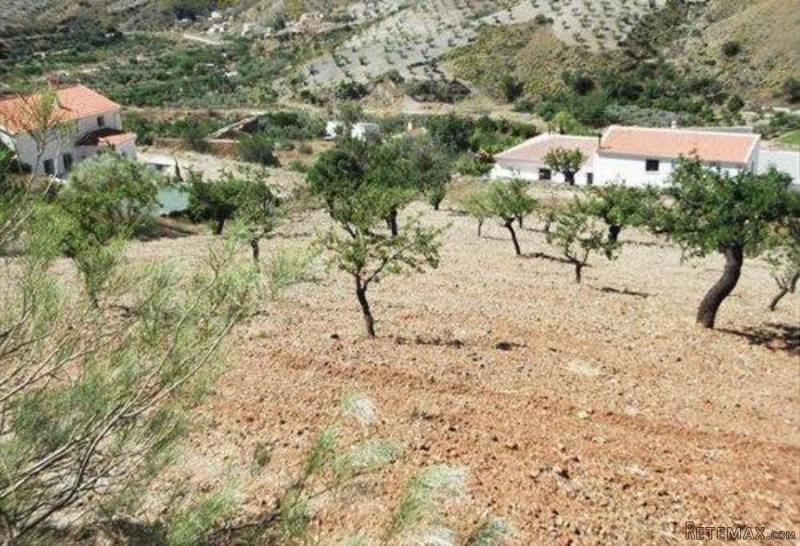 Cortijo / Country House in Albox - 2
