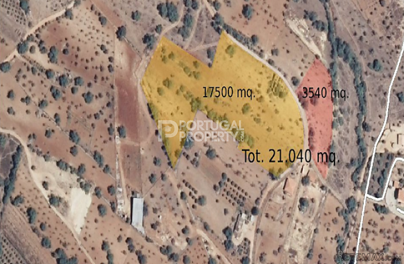 Large piece of land with Ruin Estoi