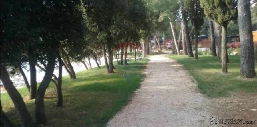 Istra,Bale,poljoprivredna parcela u autokampu Colone - 3