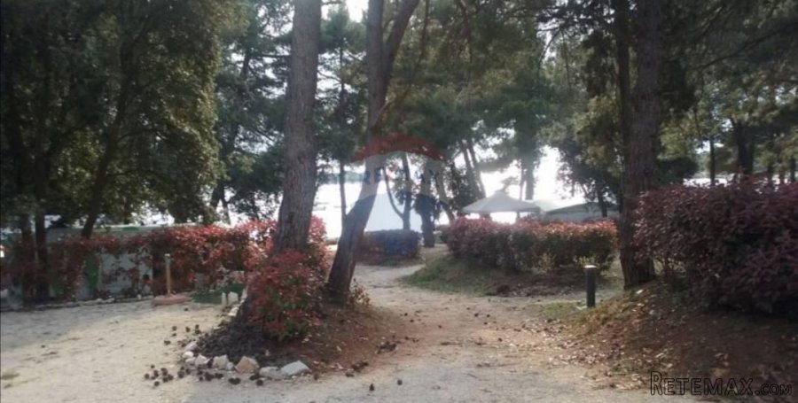 Istra,Bale,poljoprivredna parcela u autokampu Colone - 4