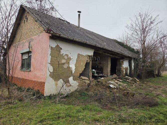 PRILIKA, za adaptaciju, Dalj planina, 50 m²
