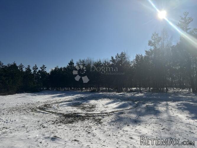 TRNOVAC GRAĐEVINSLO ZEMLJIŠTE UZ ŠUMU - 3