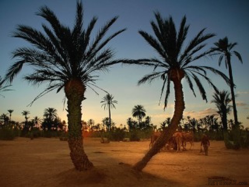 Titled plots of lands of 1960 m2 -..