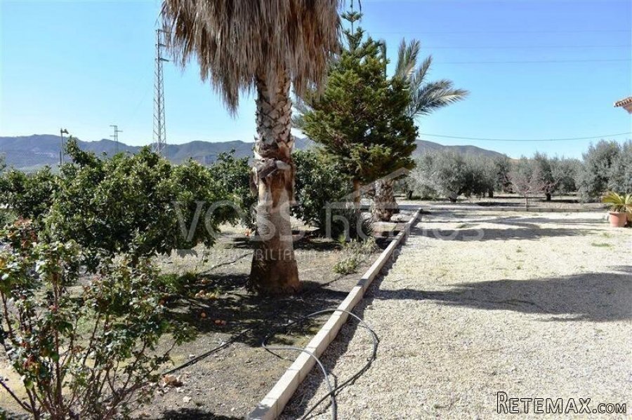 An impressive, larger than average 4 bed, 2 bath Country.. - 9