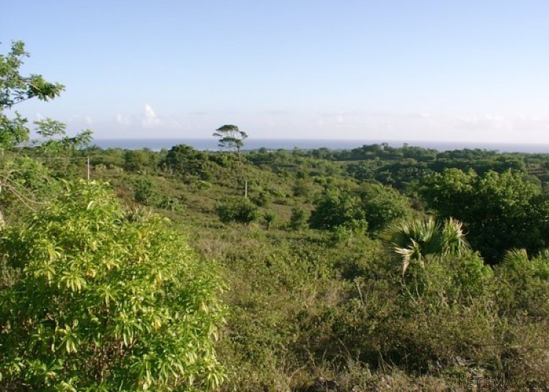 Sosua Ocean View Lot