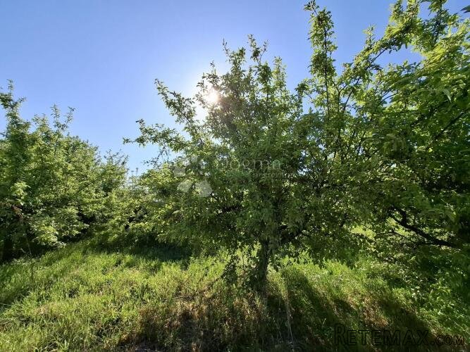 Mirna lokacija u Đakovu s voćnjakom!