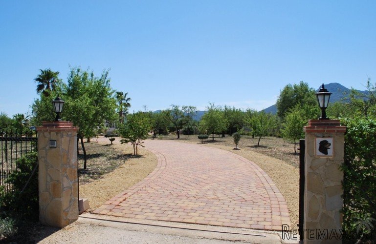 Beautiful finca in one of the best positions in the Jalon.. - 4